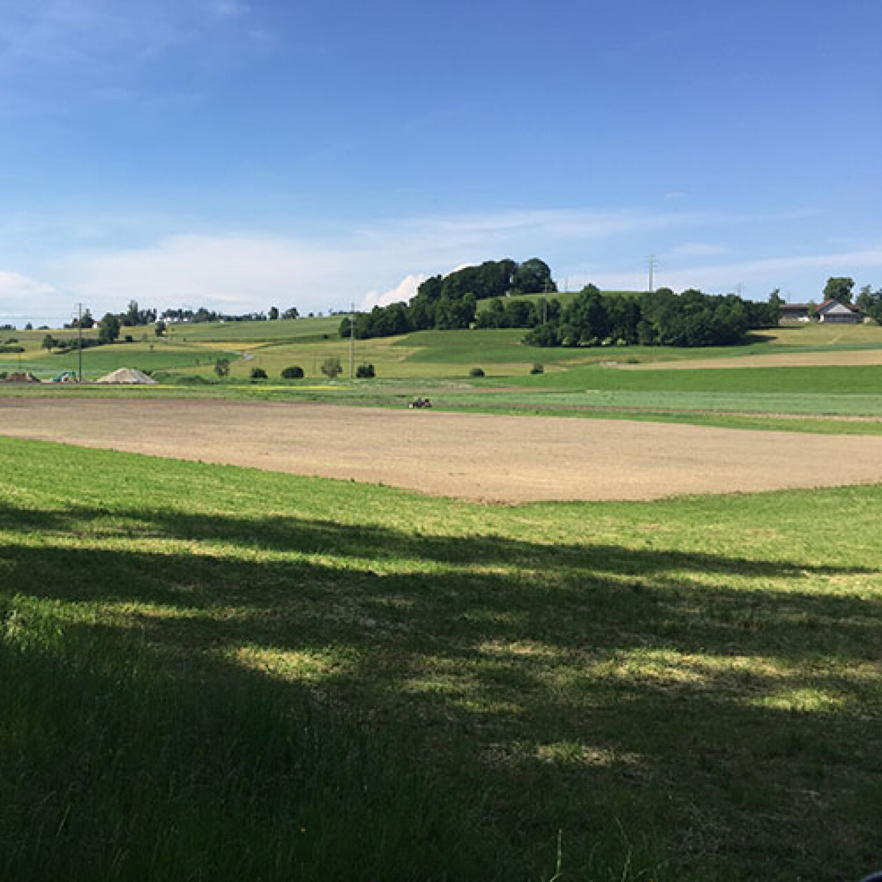 gossau