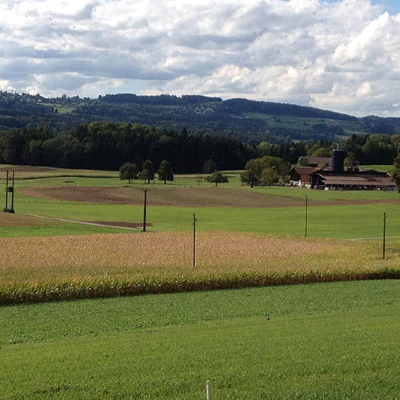 moenchaltdorf