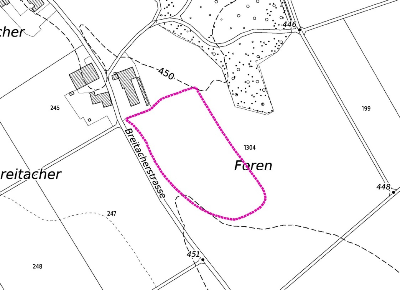 foren-1