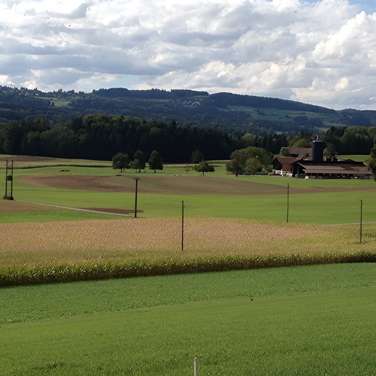 Mönchaltorf Foren 