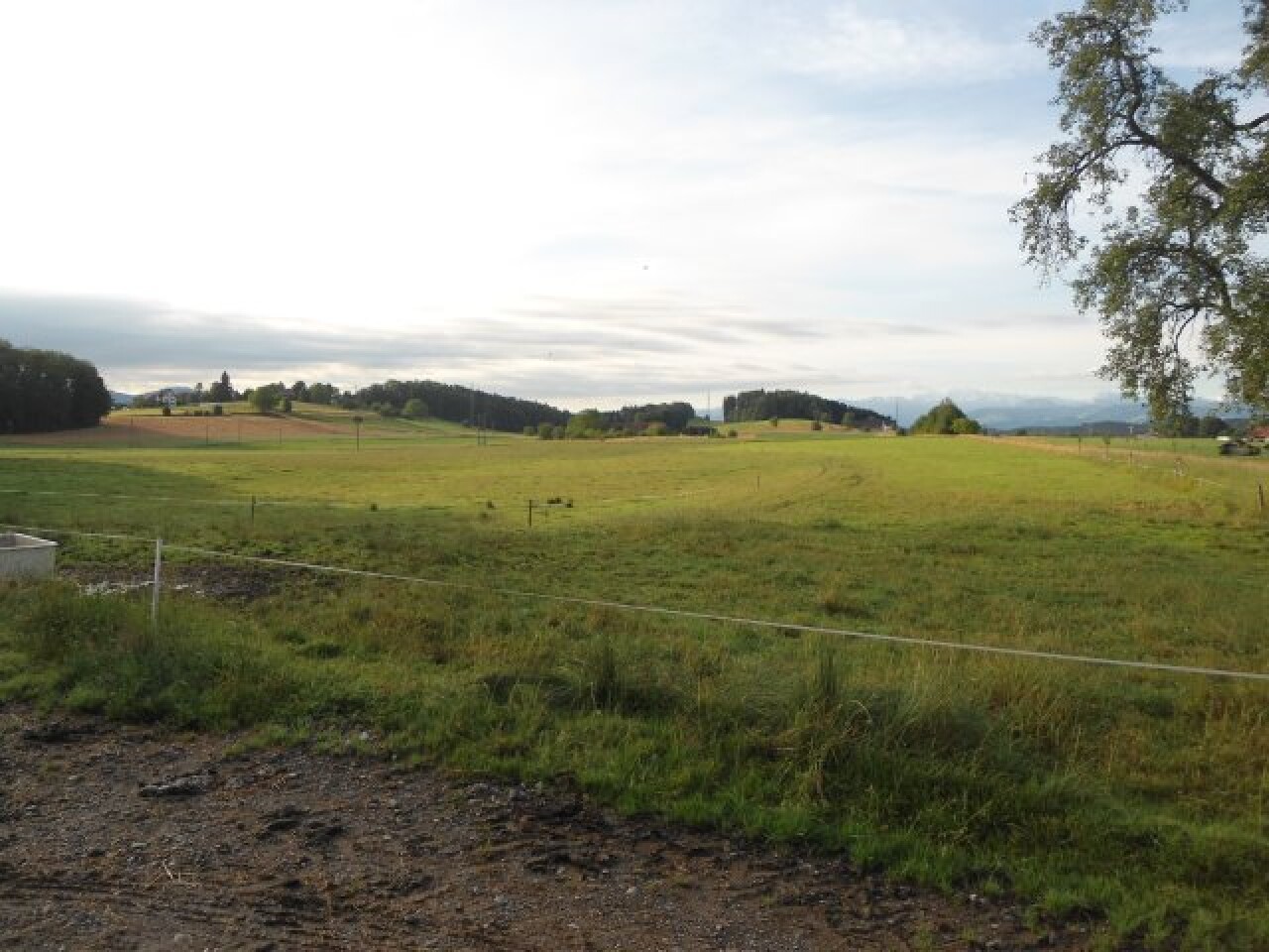 DSC00664
